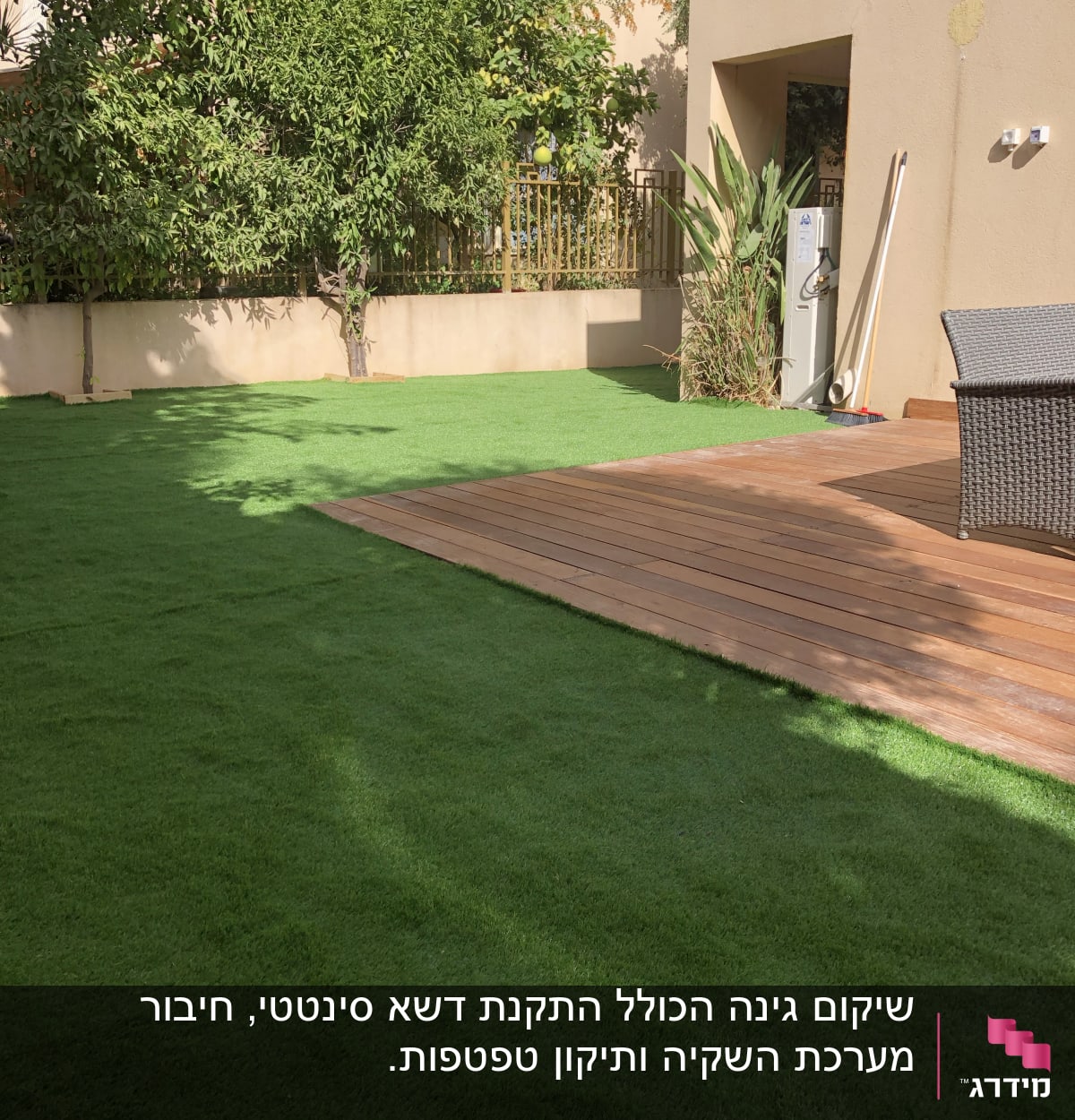 דשא ירוק ועצים בגינה פרטית